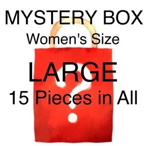 Mystery Box - All Women's Size L - 15 Pieces in Total